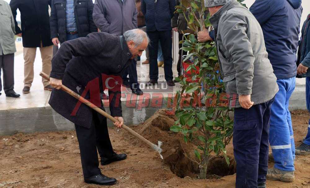 Trap Ve Skeet Sahasında Ağaç Dikimi Gerçekleştirildi