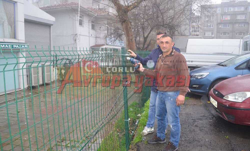 Sonunda Devrilen Çitler Tamir Edildi