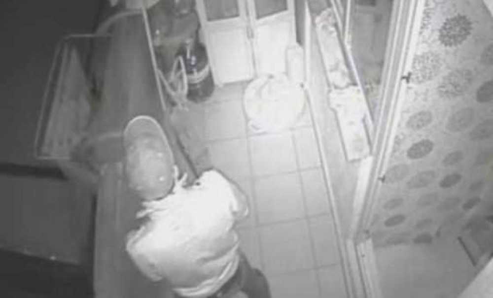 Şaşkın Hırsız Kamerada