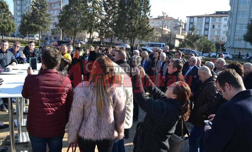 Tüm Renkler Yeşil İçin Bir Araya Geldi