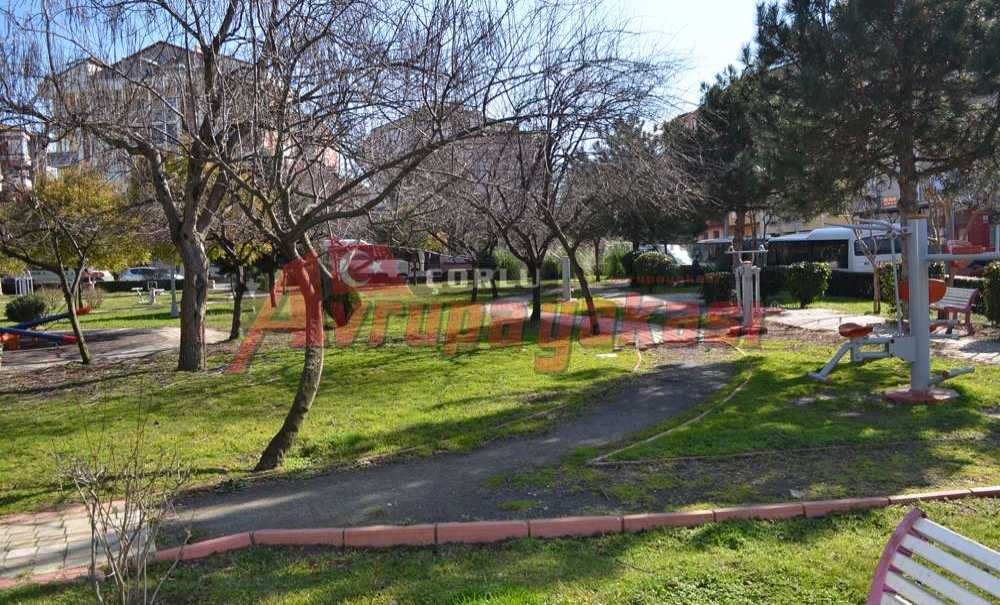 Orman Gibi Park