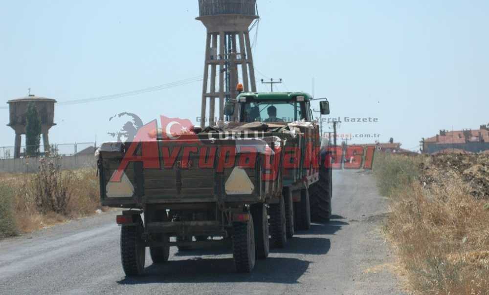 Bakliyat Üretiminde Yüzde 41'lik Düşüş