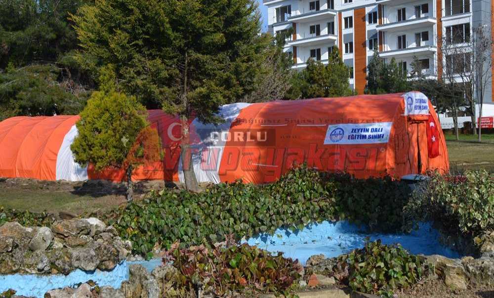 Şehitliğe, Zeytin Dalı Sınıfı Açıldı