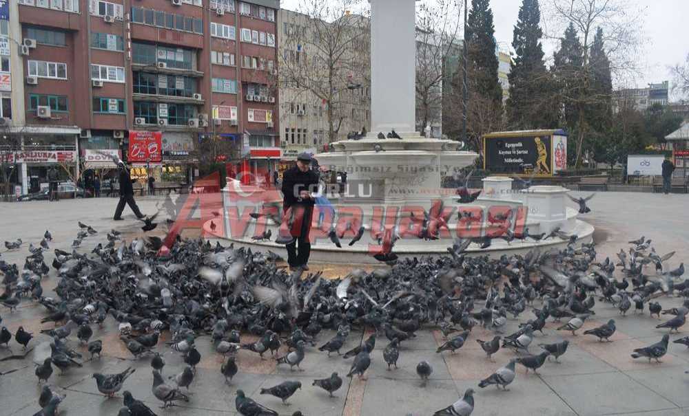 Güvercinlere Yem Alıp Veriyor