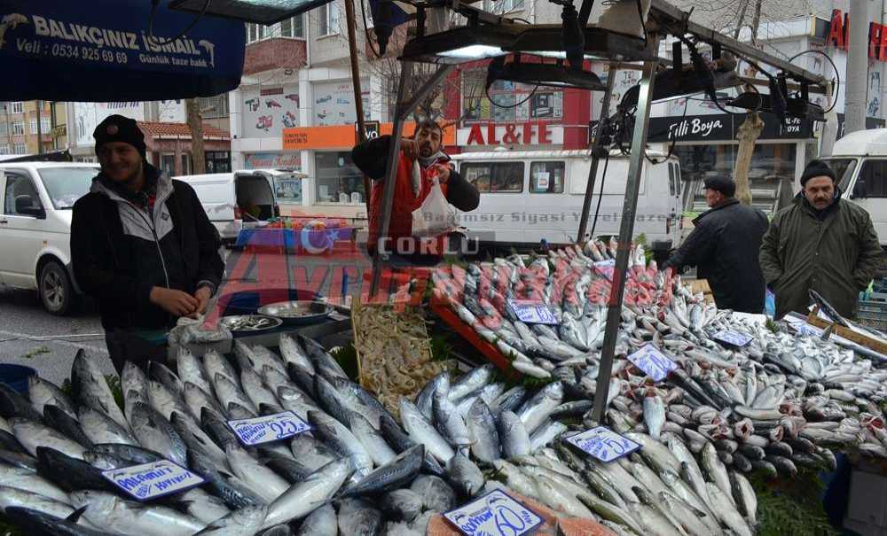Denizlerde Balık Azaldı