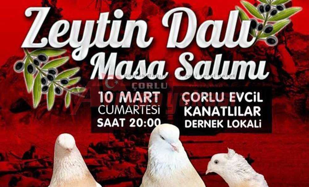 Güvercinler Zeytin Dalı İçin Yürüyecek