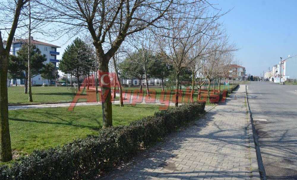 Park Güzelliği Ile Göz Dolduruyor