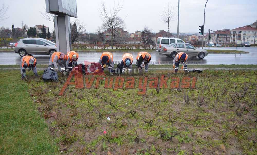 Kadınlar Çorlu'da Soğuğa Rağmen Çalışıyor