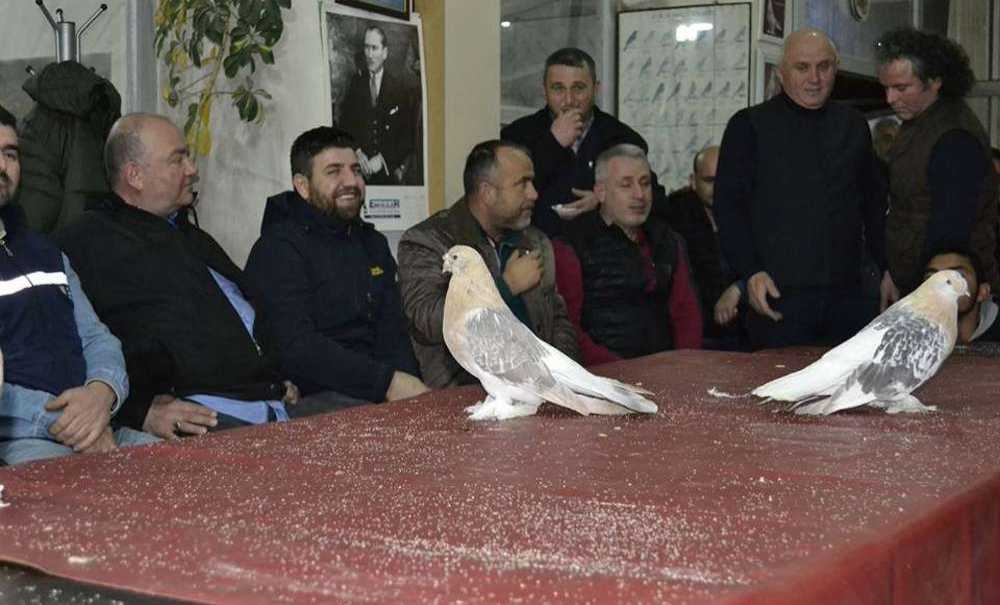 Güvercinlerin Geliri Mehmetçik Vakfı'na