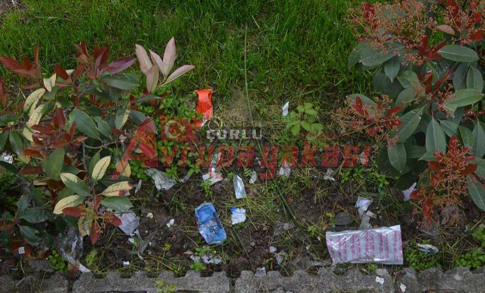 Parkta Çöpler Temizlenmeyi Bekliyor