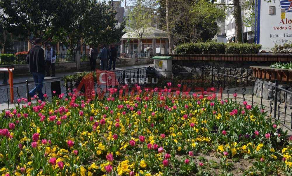 Cumhuriyet Meydanı Renklendi