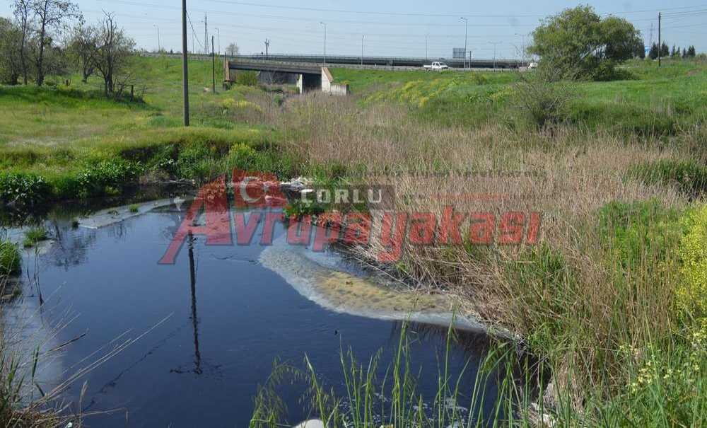 Ergene Nehri'nin Çirkin Yüzü