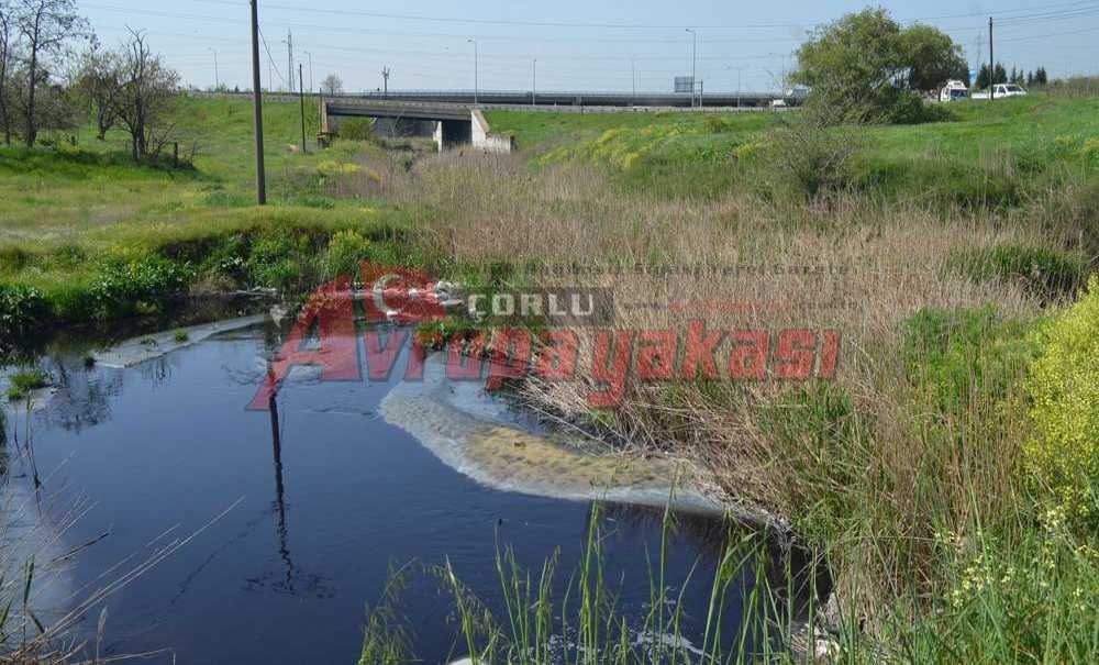 Teski İnceleme Başlattı