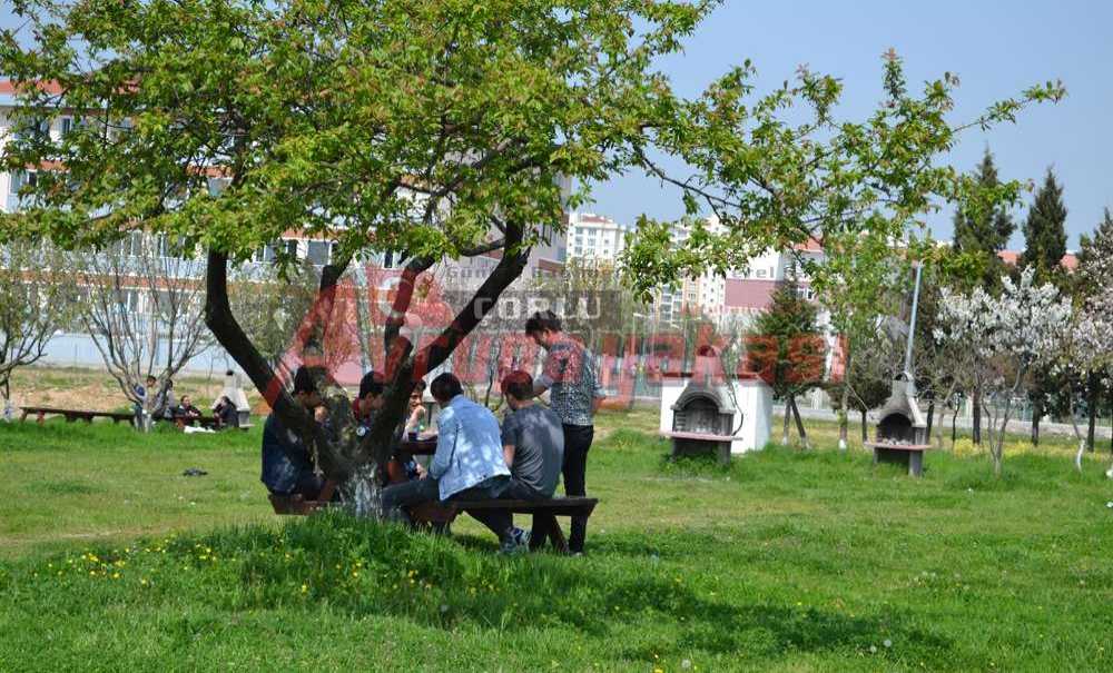 Piknik Sezonu Açıldı