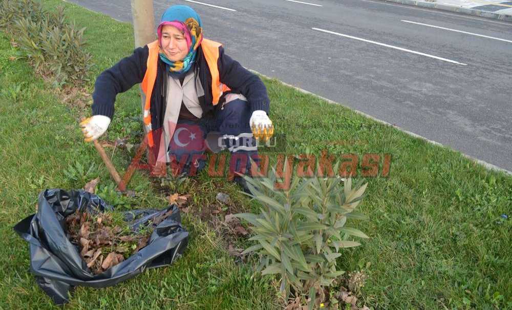 Taşeron'da Süreç Tamamlandı (Özel)