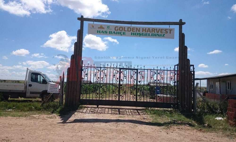 Haydi Çocuklar Toprakla Buluşmaya