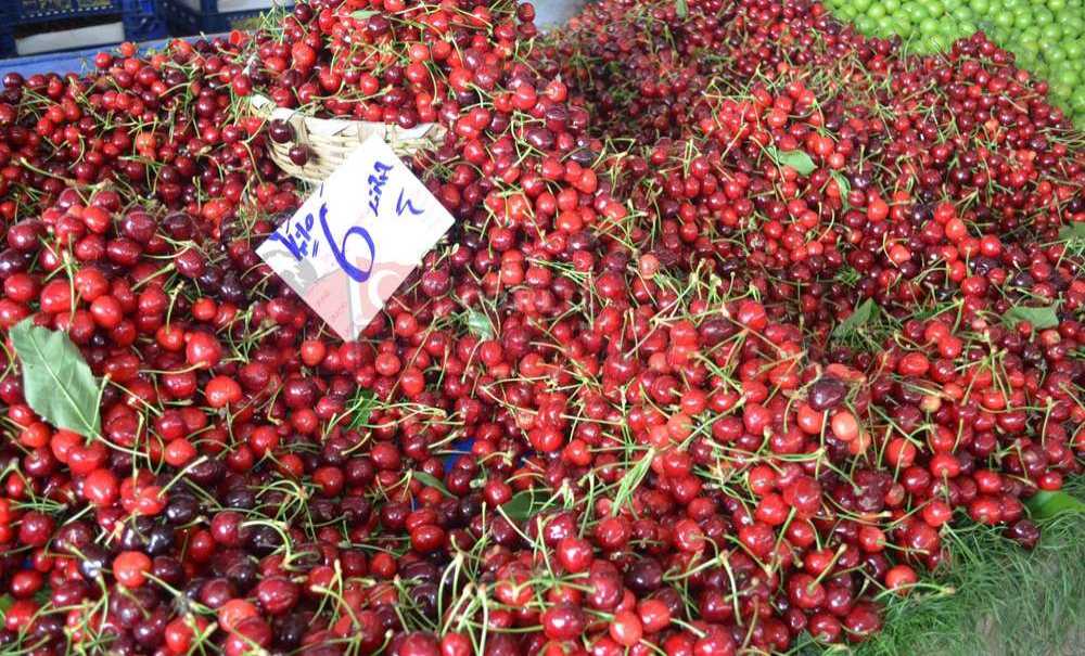 Meyve Tezgâhları Renklendi