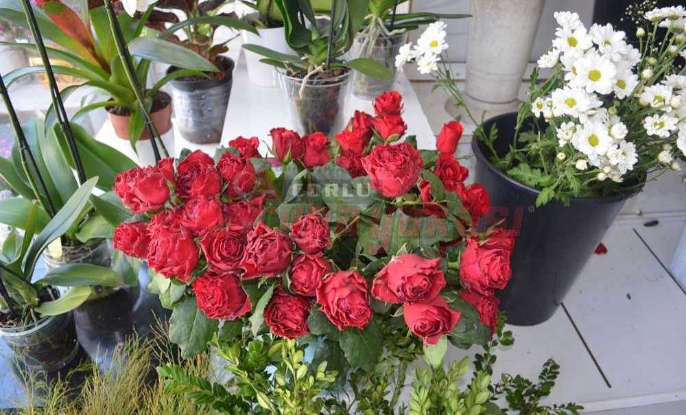 Anneler Gününde Çiçek Satışları Arttı