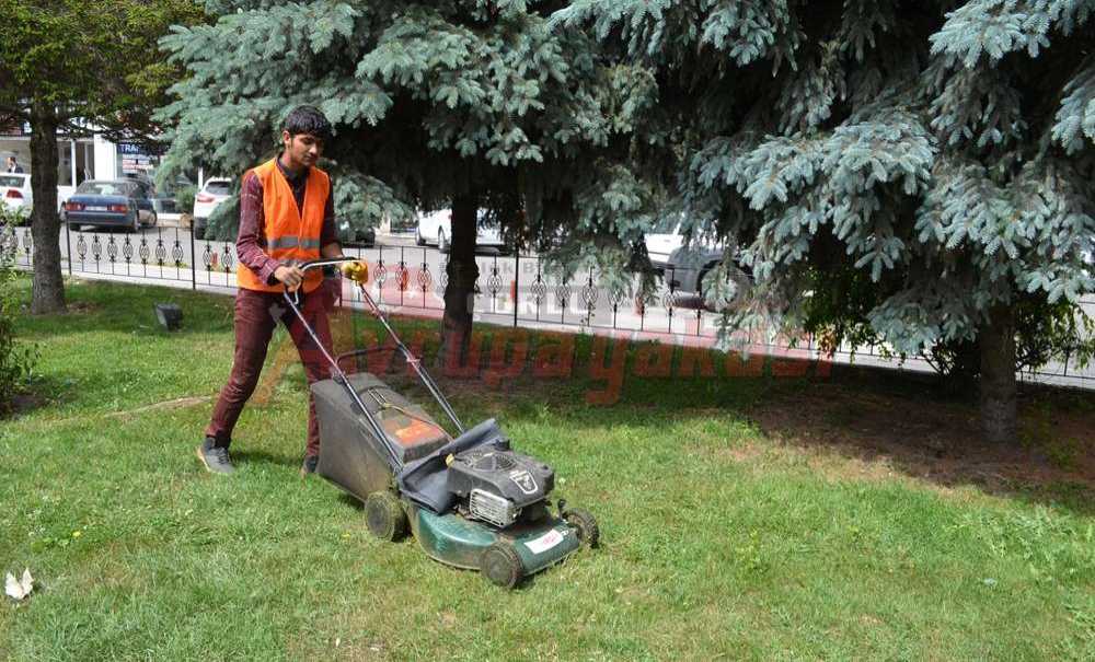 Parklardaki Çimler Biçildi