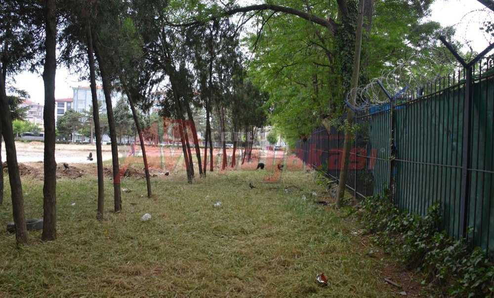 Kaplumbağa Hızıyla Park Oluyor