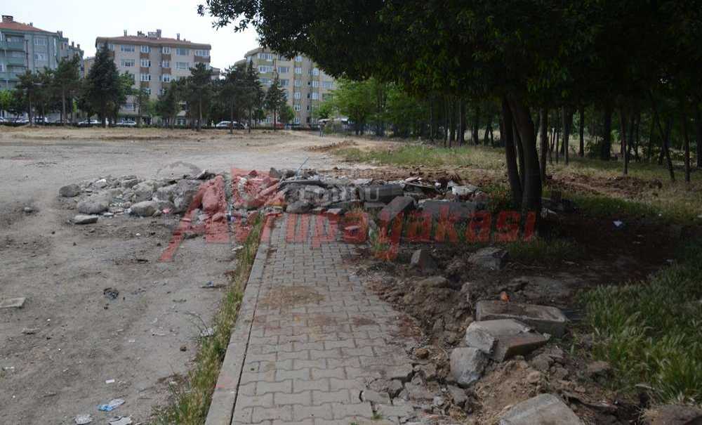 Kaplumbağa Hızıyla Park Oluyor