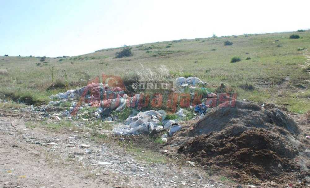 Önerler'de Molozlarla Doğa Katliamı