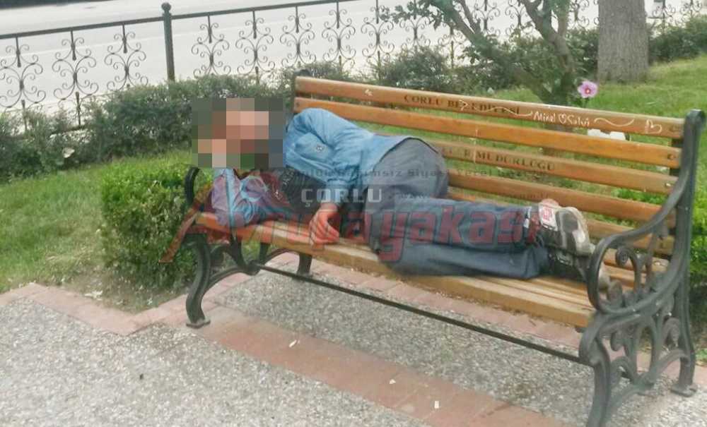 Parklar Meskenleri Oldu