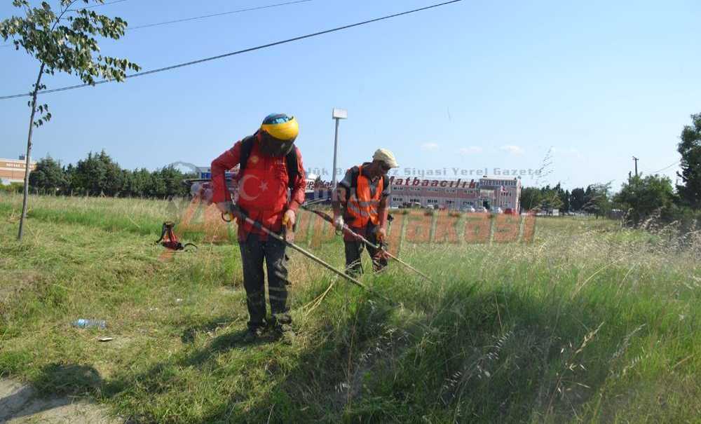 Ellerinde Makinalarla Gelip, Biçtiler