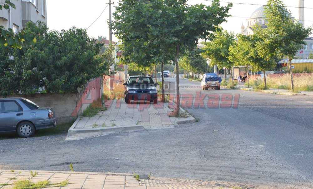 Bu Kadarına Da Pes Doğrusu