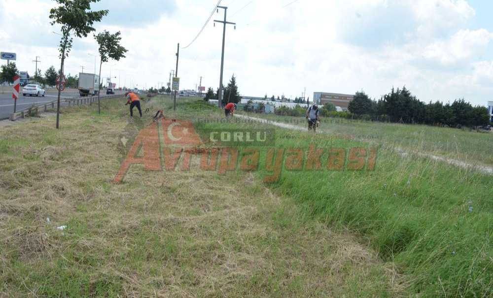 E-5 Yolu Üzerindeki Otlar Biçilmeye Devam Ediyor