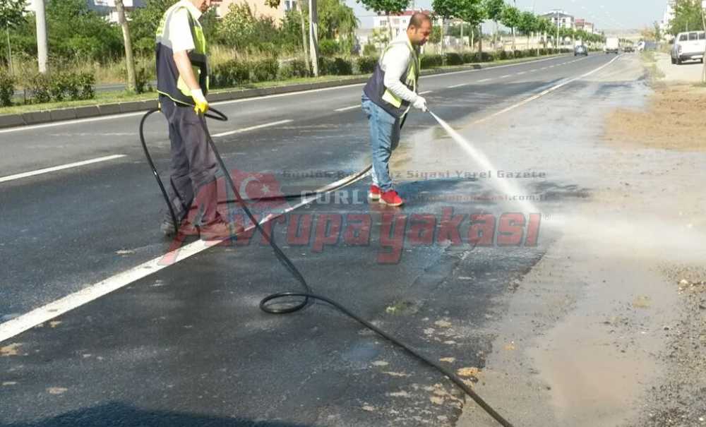 Yol Kenarını Temizlediler