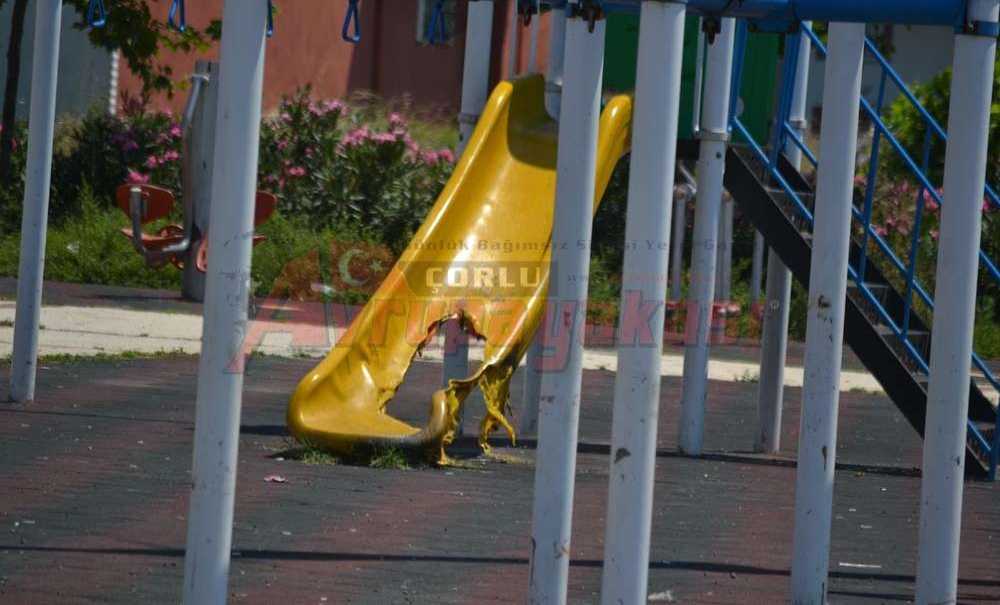 Bunu Da Mı Yaptınız?