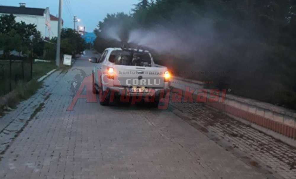 Haşereler Ilaçlandı