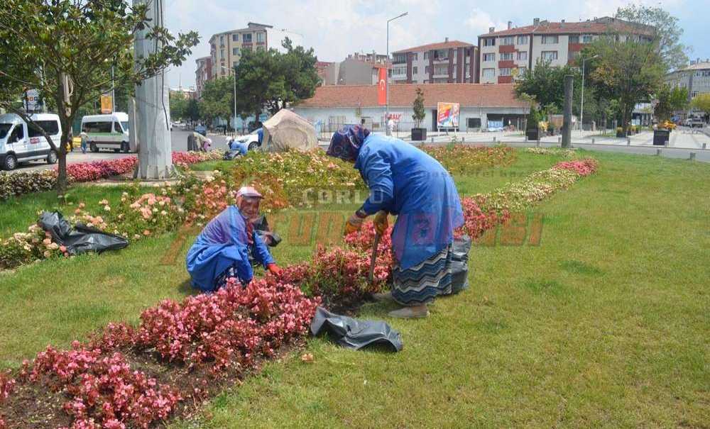 Çorlu Belediyesi Refüjlerde Çalışma Yaptı