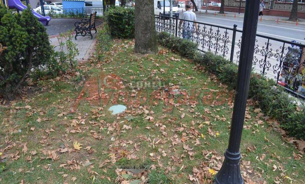 Yaz Ortasında Sonbaharı Andıran Görüntü