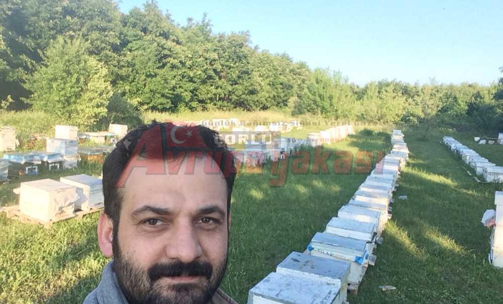 Trakya'da Yüzde 30'a Varan Arı Ölümleri Yaşandı
