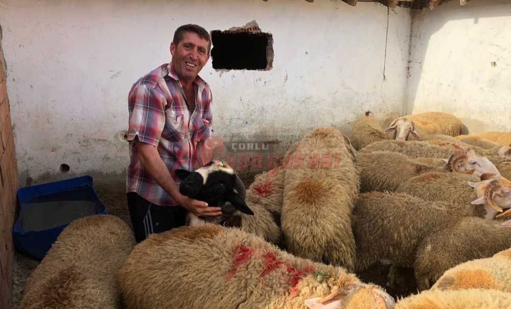 Kurbanlık Satışları Başladı