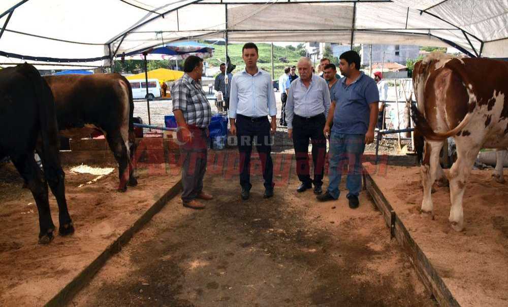 Sarıkurt Kurban Satış Merkezini İnceledi