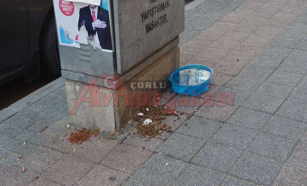 Kedi Ve Köpek Mamalarını Gelişigüzel Bırakmayın