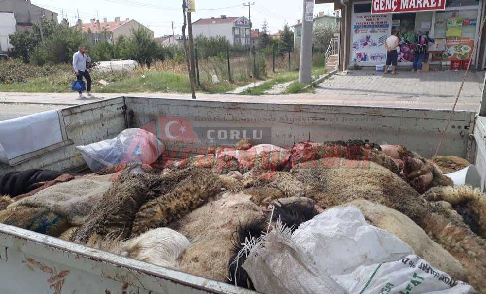 Türk Hava Kurumu 3 Bin Adet Deri Topladı