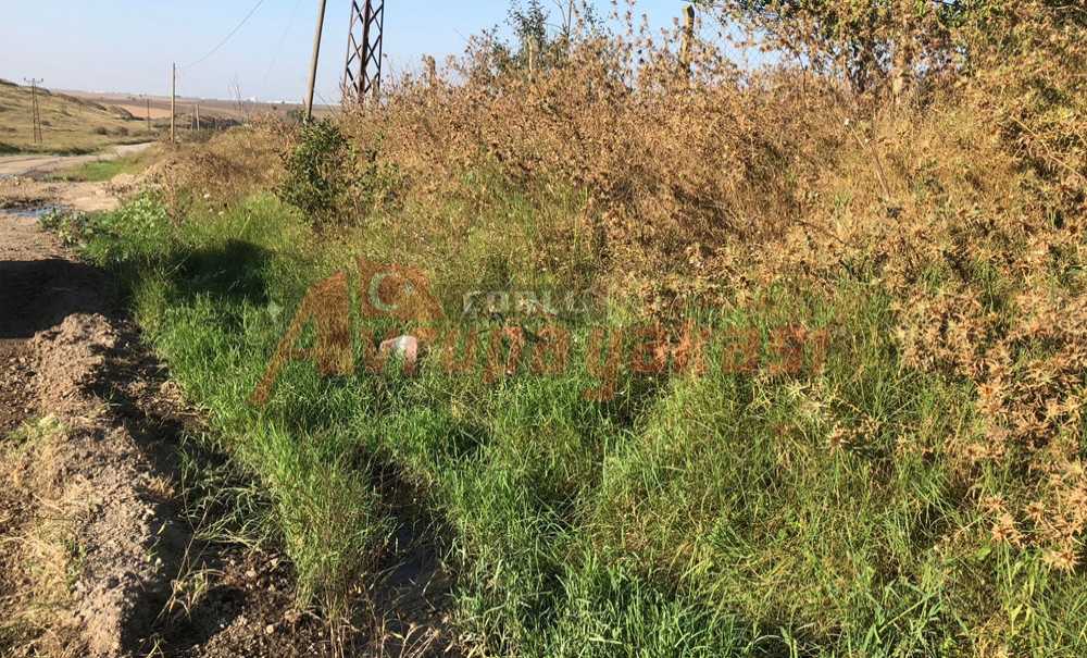 Önerlerde İki Aydır Lağım Suyu Dışarı Akıyor