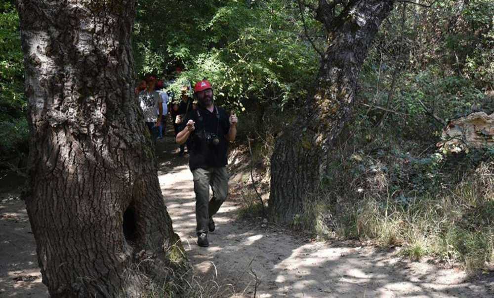 180 Bin Ağaç Kesilecek