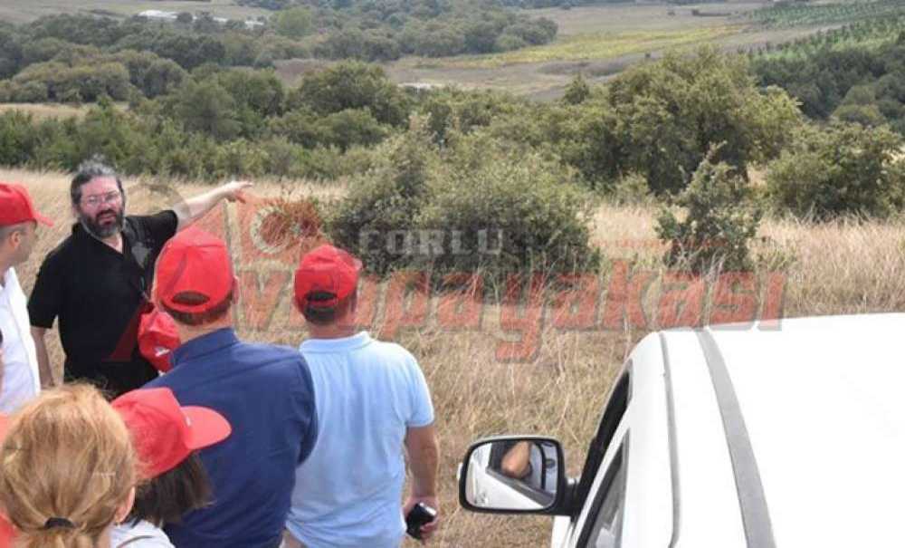 180 Bin Ağaç Kesilecek