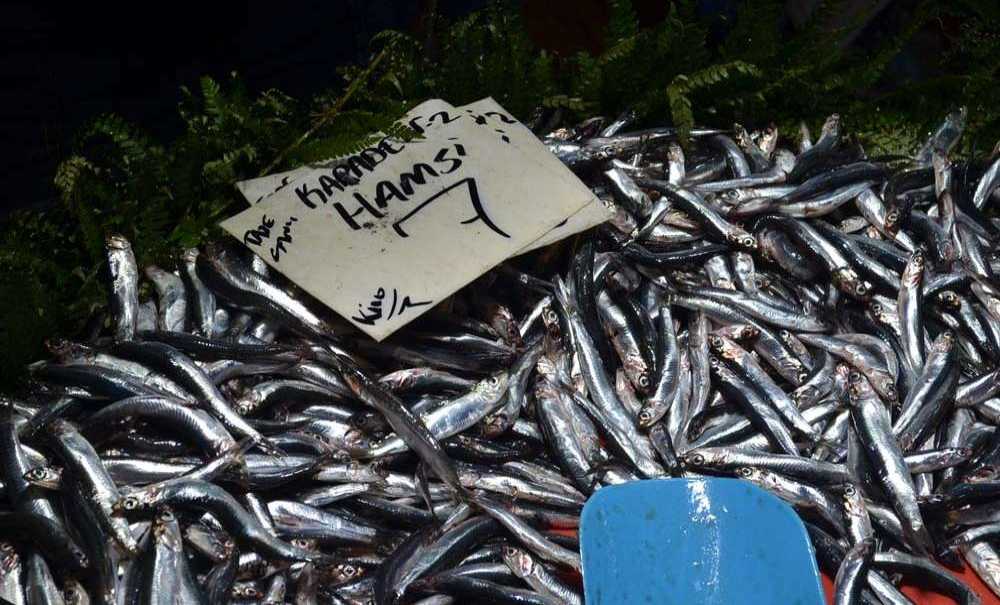 Ucuz Olunca, Tezgâhlarda Kuyruk Oluştu