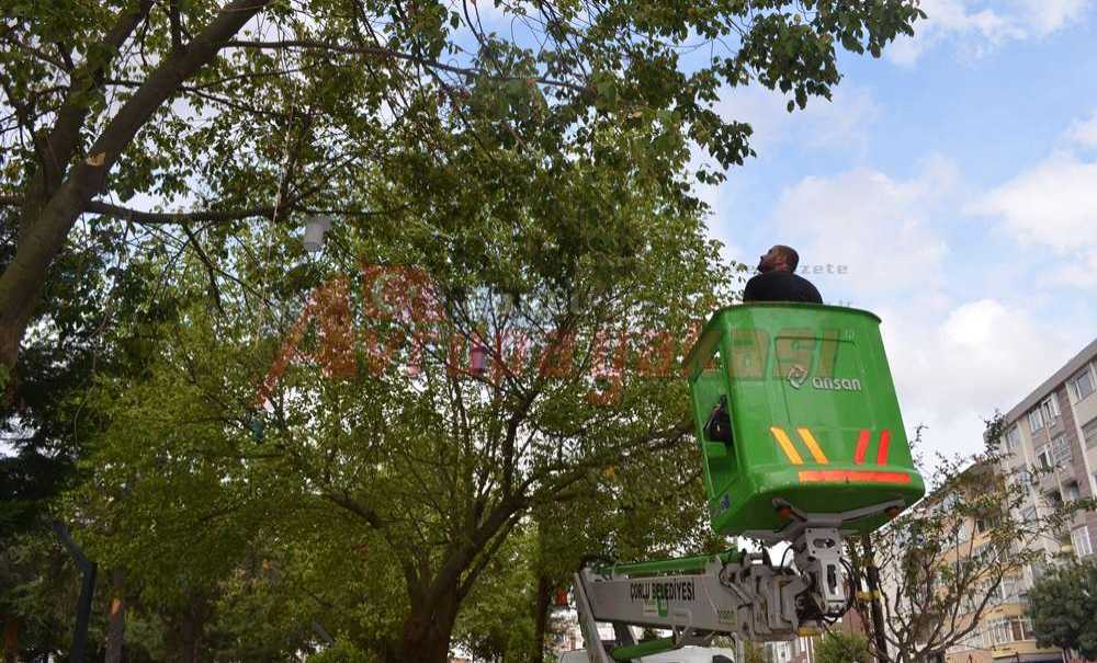 Son Rötuşları Yapıldı