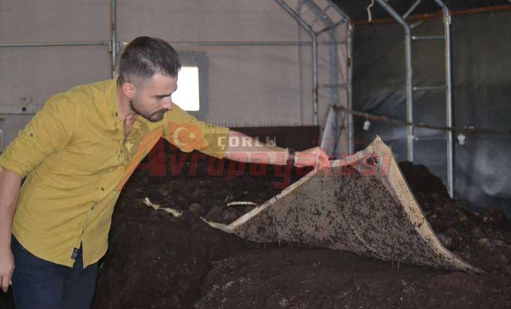 Topraklara Yeniden Canlılık Veriyor