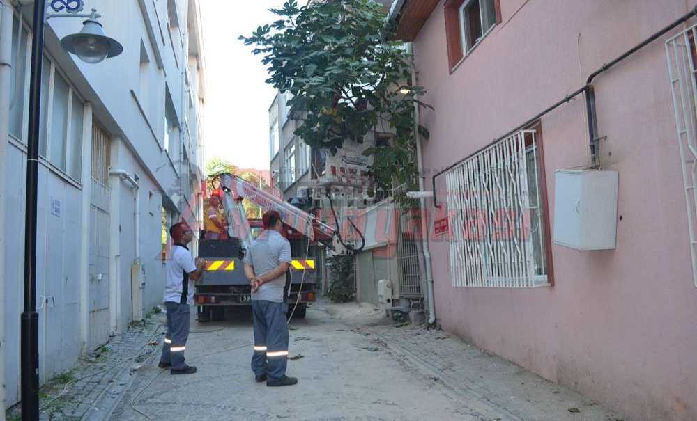 Sanat Sokağı Çalışmaları Başladı