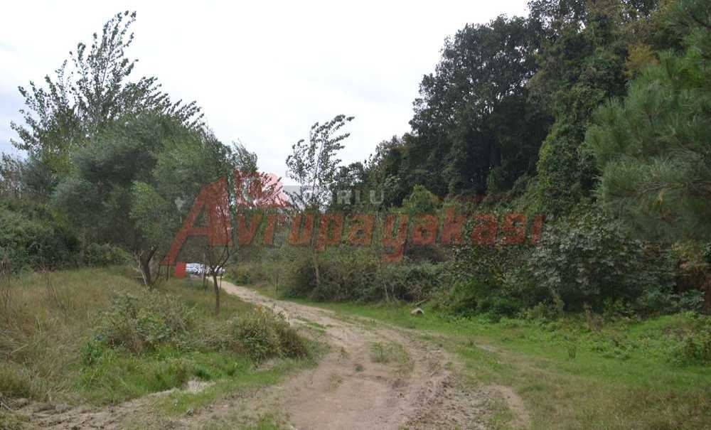 “Doğa Parkı Olsun”