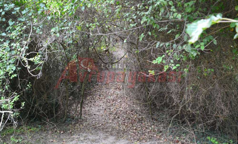 “Doğa Parkı Olsun”