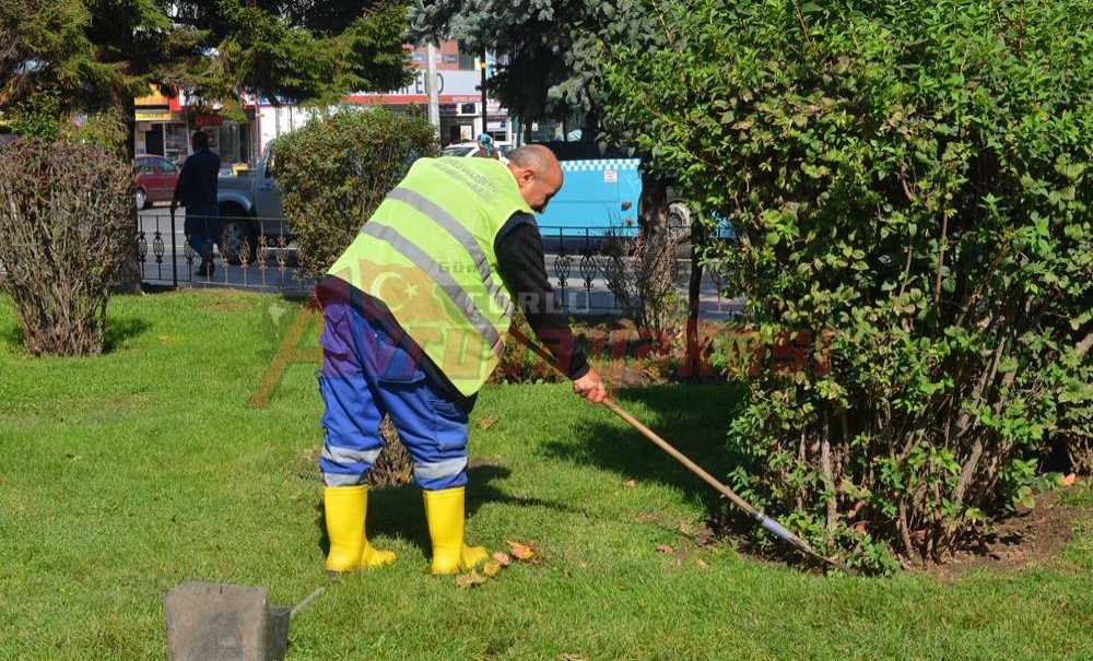 Park Şimdi Tertemiz